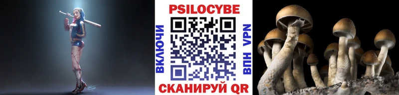 Псилоцибиновые грибы ЛСД  кракен вход  Щёлково 